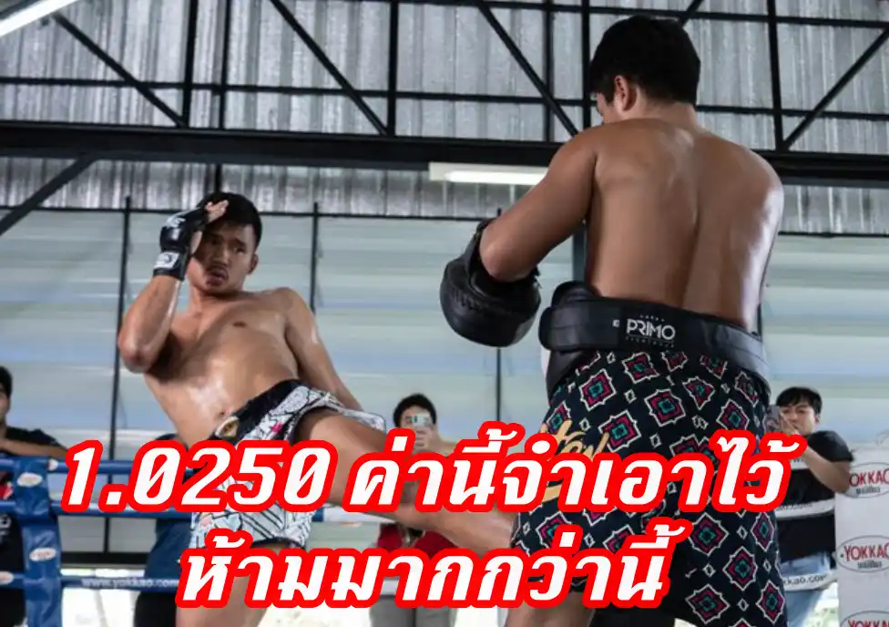 ข่าวสารวงการมวย