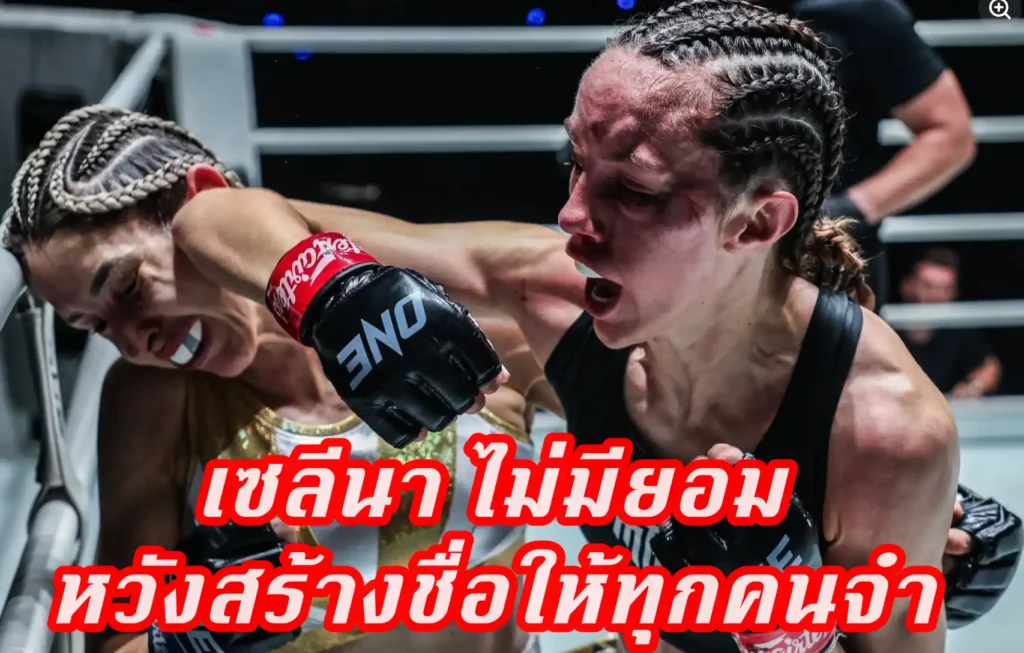 ข่าวสารวงการมวย